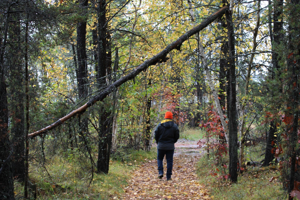 A photo of my partner during a nature walk in fall 2023
